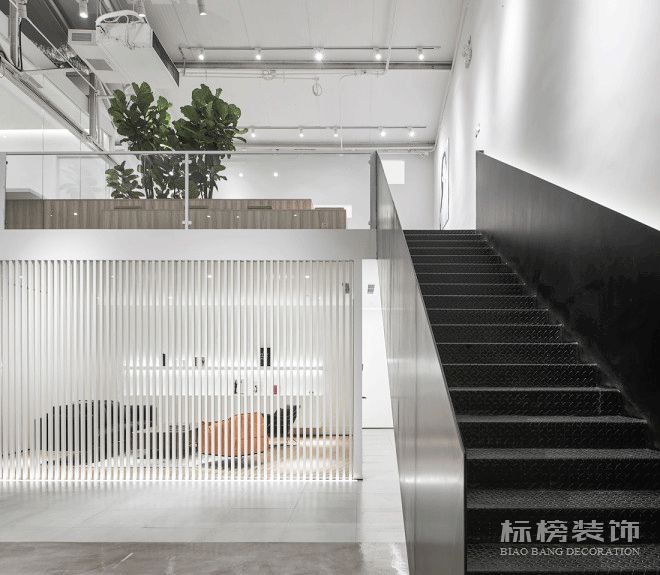办公室植物摆放植物有哪些，怎么摆放比较好？
